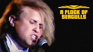 A Flock Of Seagulls - Rock Pop Music Hall (Remastered)