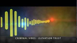 Criminal Vibes a.k.a. Paul Jockey - Elevation Trust (Original mix)