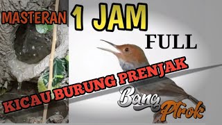 Download lagu MASTERAN PRENJAK KEPALA MERAH GACORR COCOK BUAT MASTERAN mp3