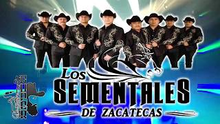 Huapango Alondra - Los Sementales De Zacatecas