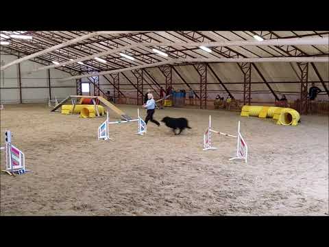 KRAFT AGILITY VIZSGA 2021.11.28 - Legendary of Jet Black Mithos  2. hely