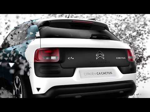 C4 Cactus Hatch - Design Legacy