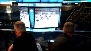 Orlando Solar Bears - Out of Hibernation