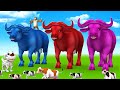Paint The Animals Giant Magical Color Buffalo In Jungle Magical Farm Animals Videos Collection