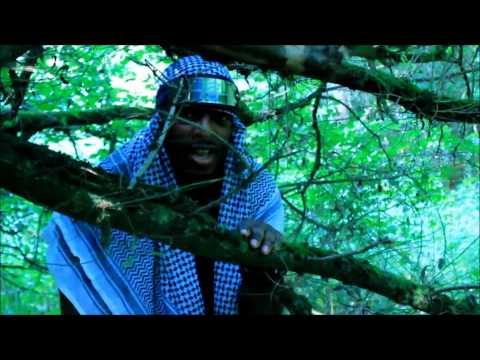 Mars Native - Freedom Fly