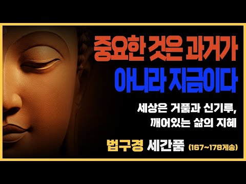 부처님 말씀_법구경 제13품 세간품_(167~178게송) ㅣ 세상의 허망함과 지혜로운 삶, 불교경전, 불교, 불교말씀, 불교철학