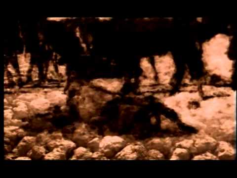 Tristezas e Alegrias - Raquel Silva  "O fim Vem CUIDADO!