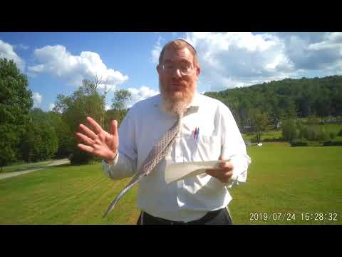 Rabbi Mendelson - Parshas Pinchas