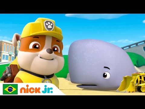 Capa de Patrulha Canina | Os filhotes salvam um filhote de baleia encalhado | Nick Jr. em Português