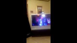 Emma emma ema em ma ma ma