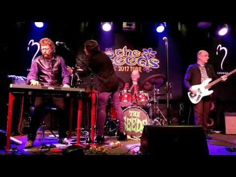 THE SEEDS Pushin Too Hard live at Bogie's