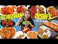 I only ate SCHEZWAN Dishes For 24 Hours |Food challenge| Eating different types of Schezwan dishes