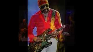ERNIE ISLEY ~ RISING FROM THE ASHES