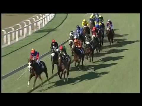 2017.06.03 Woolavington 2000 (RSA) - Lady of The House