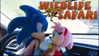 Sonic Goes to the Wildlife Safari | ft. Sonic and Amy!