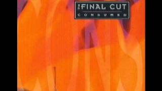 The Final Cut - Broken