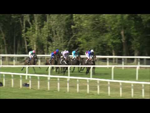 2014 Artemis Goodwood Cup - Cavalryman - Racing UK
