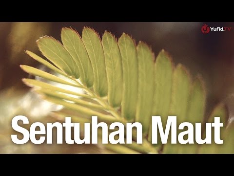 Gel untuk meningkatkan anggota laki-laki Vimaks Bad untuk potensi