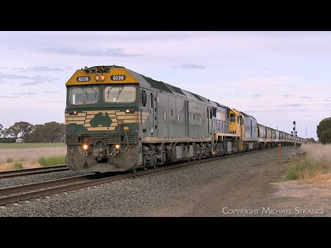 7733V Pacific National Grain Train Arrives At Gheringhap Loop (29/10/2023) - PoathTV Railways