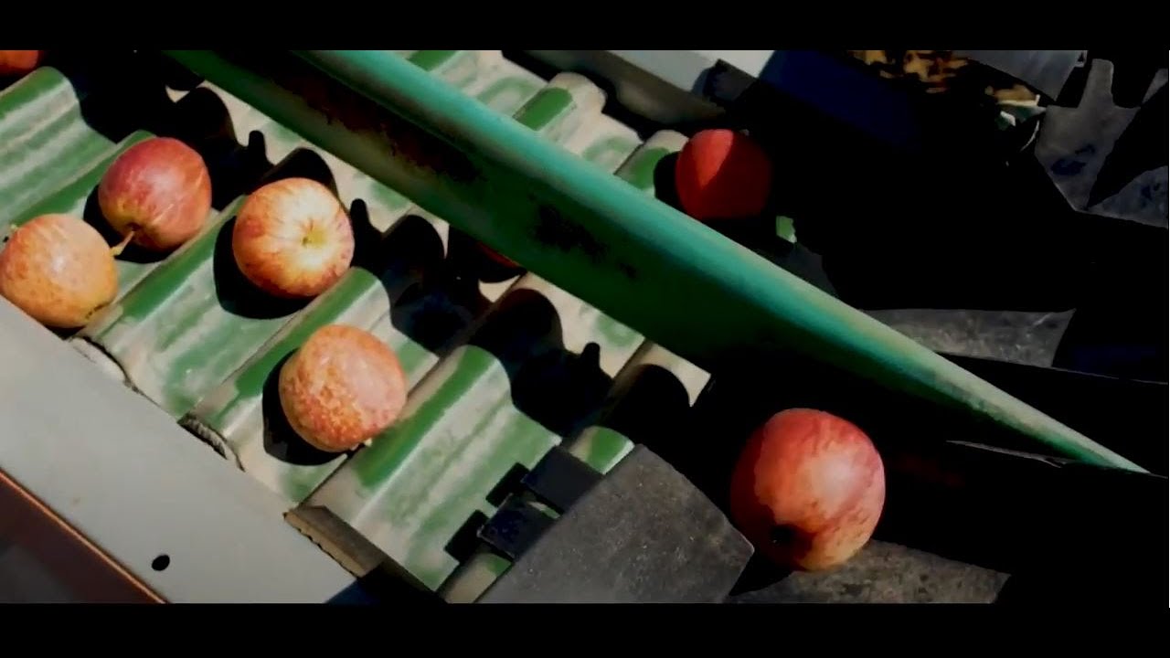 Full product traceability at Cooperfrutas with SAP Business One