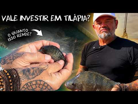 😱 DEPOIS DE 6 MESES... FINALMENTE O LUCRO DA TILÁPIA!
