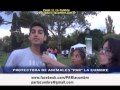 GRUPO DE JOVENES DE LA CUMBRE HAN CREADO UNA PROTECTORA DE ANIMALES