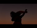 James King - Dying Flame
