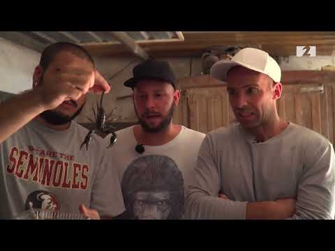 Suður ameríski draumurinn - Sporðdrekar