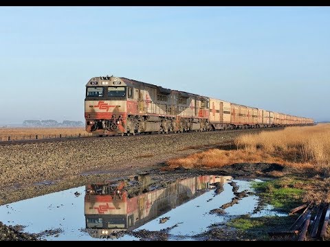 SCT007+SCT012 hual Perth to Melbourne SCT freight service #3PM9 near Inverleigh, Vic.