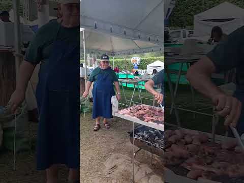 Faria Lemos MG: 42ª FEFAL: Edição histórica celebra cultura e movimenta a economia.
