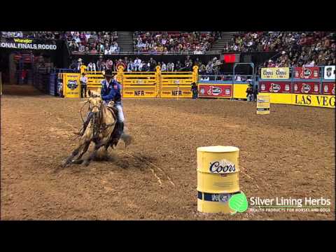 Sherry Cervi - Arena Record