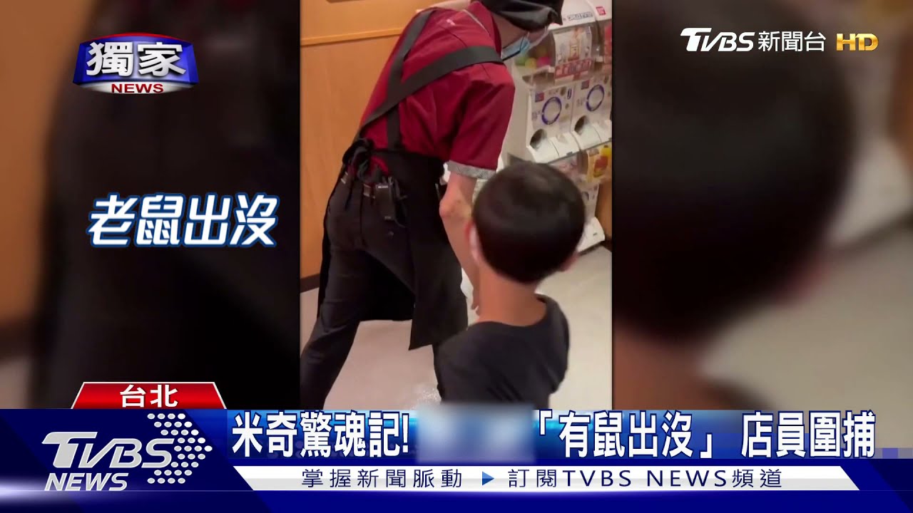 嚇鼠人!壽司店「米奇」出沒 顧客用餐心驚