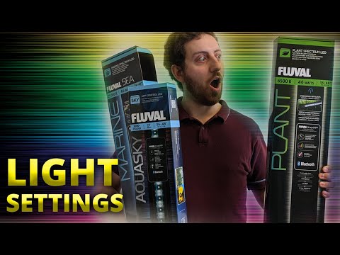 What Light Settings Should I Use? | Fluval Bluetooth LEDs