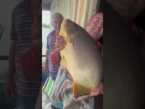 #pescaria mata dos macacos Guaraci São Paulo 17996299118