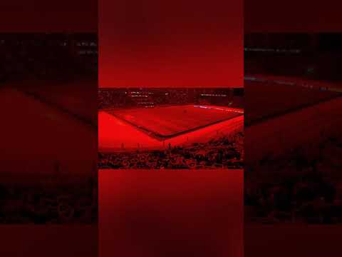 Carmen Schokolade beim 1.FC Union Berlin