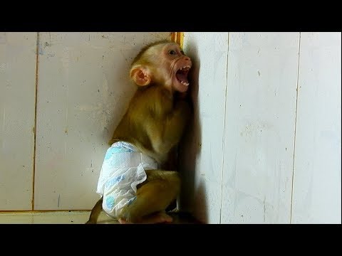 Maly always cry when mom left her alone