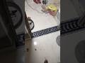 New 3d Marble Border Design How To Make Marble Digital Border Marble Border Marble Border Design