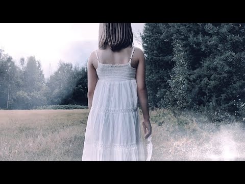 Dark The Suns - Swans of the Frozen Waters (Official Music Video w/ lyrics)