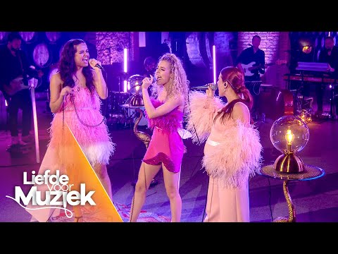 Video thumbnail for Kinderhart (uit Liefde Voor Muziek) - Live