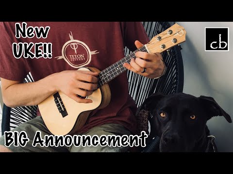 Teton TC130SMG 130 Series Concert Body Solid Spruce Top Mahogany Neck 4-String Ukulele image 3