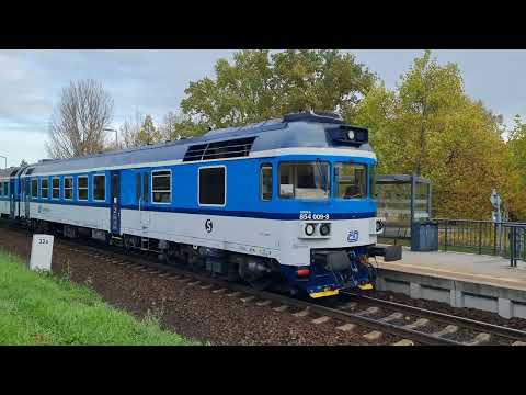 009-8 Erika a 208-3 Pavlík na zastávce Neratovice sídliště (28.10.2025)