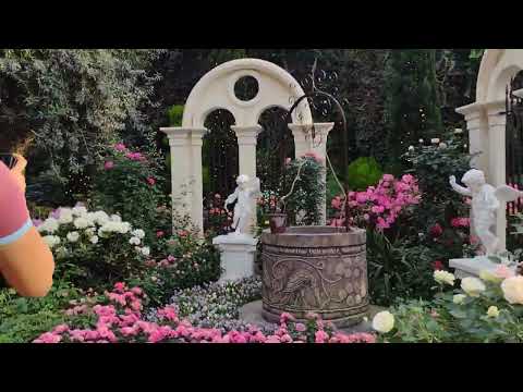 Singapore walking videos - Flower dome - Gardens by the bay