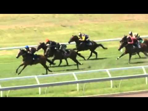 GaiTV - Flamboyant Lass  - Trial 1/12/15