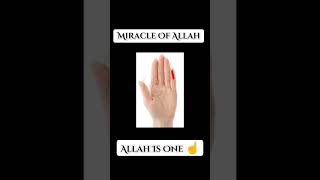 Miracle of allah ☝️🥰