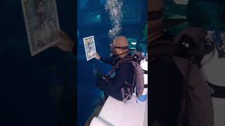 Would you dive in the deepest pool in the world 🌍📍@deepdivedubai Dubai 🇦🇪