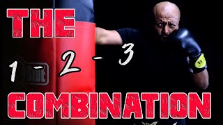 Jab Cross Hook Combination