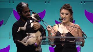 Doug The Pug wins Instagrammer of the Year || Shorty Awards 2017
