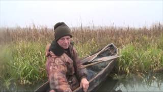 Село николаевка липецкая область рыбалка пруд