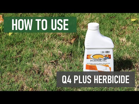 How to Use Q4 Plus Turf Herbicide [DIY Grassy & Broadleaf Weed Control]