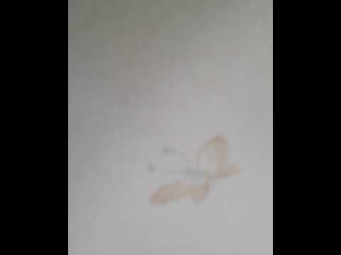 The real folk Blues cover for voice